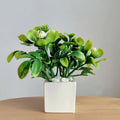 1PC Dollhouse Potted Plant 1:6 Scale Lifelike Mini Flower Pot Home Decoration Micro Landscape Miniature Green Leaves Bonsai