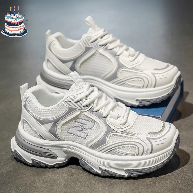 Men's Dad Shoes Breathable Mesh Upper Heightening Thick Bottom Casual Sports Shoes Summer Autumn Winter Spring Seasonal Wear
