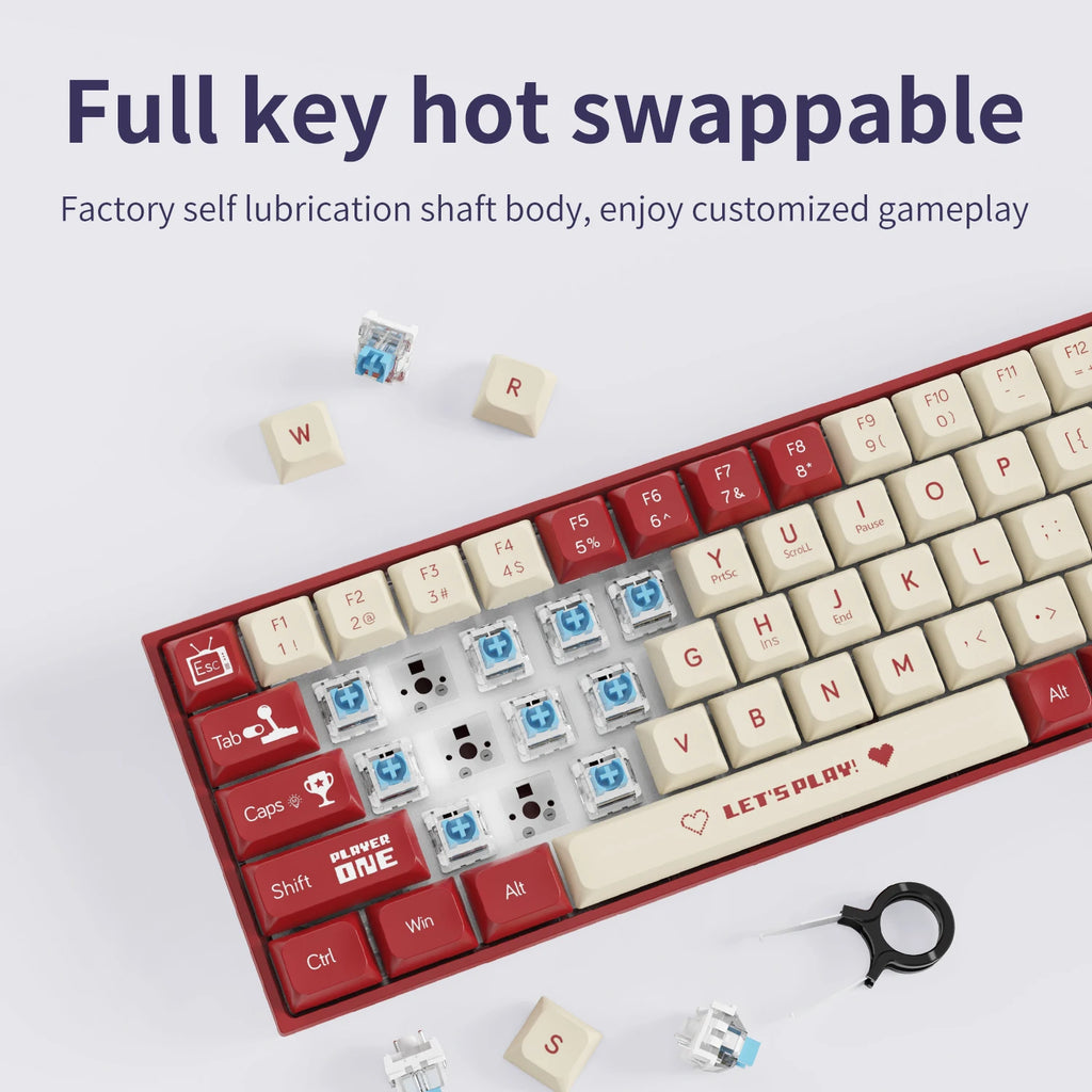 AJAZZ AK680 65% Wired Gaming Mechanical Keyboard Hot Swap Mini Keyboard Custom Keycap Gasket for Pc Laptop